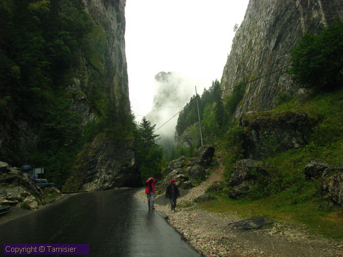 2008-08-30 17-19-33.JPG - 2008-RO>Ri Lacul Rosu-Bicaz Klamm